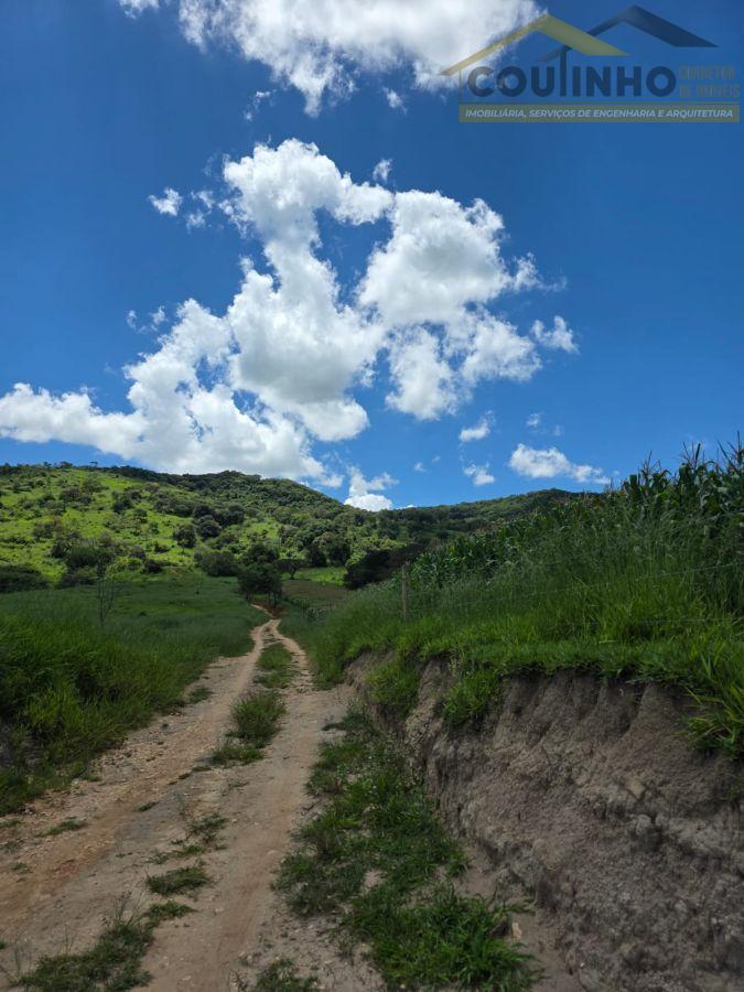 WhatsApp Image 2026-01-21 at 14.14.55 (1).jpeg